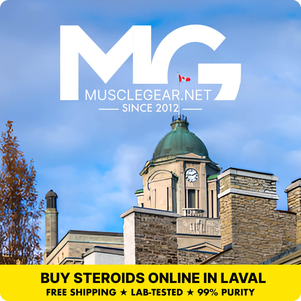 Buy Steroids in Laval - Muscle Gear