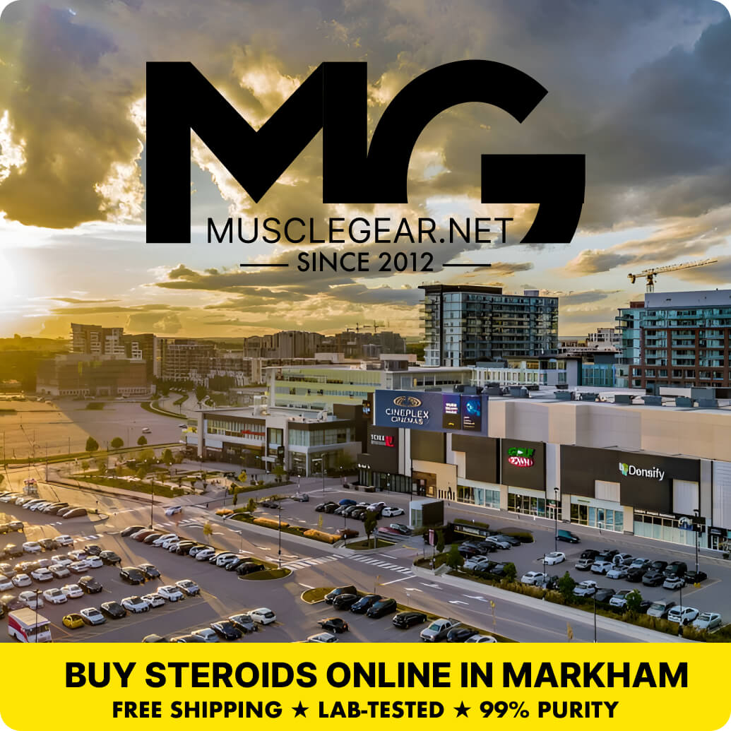 Buy Steroids in Markham - Muscle Gear