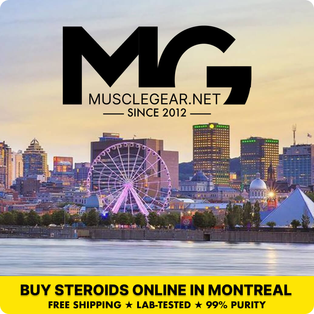 Buy Steroids in Montreal - Muscle Gear