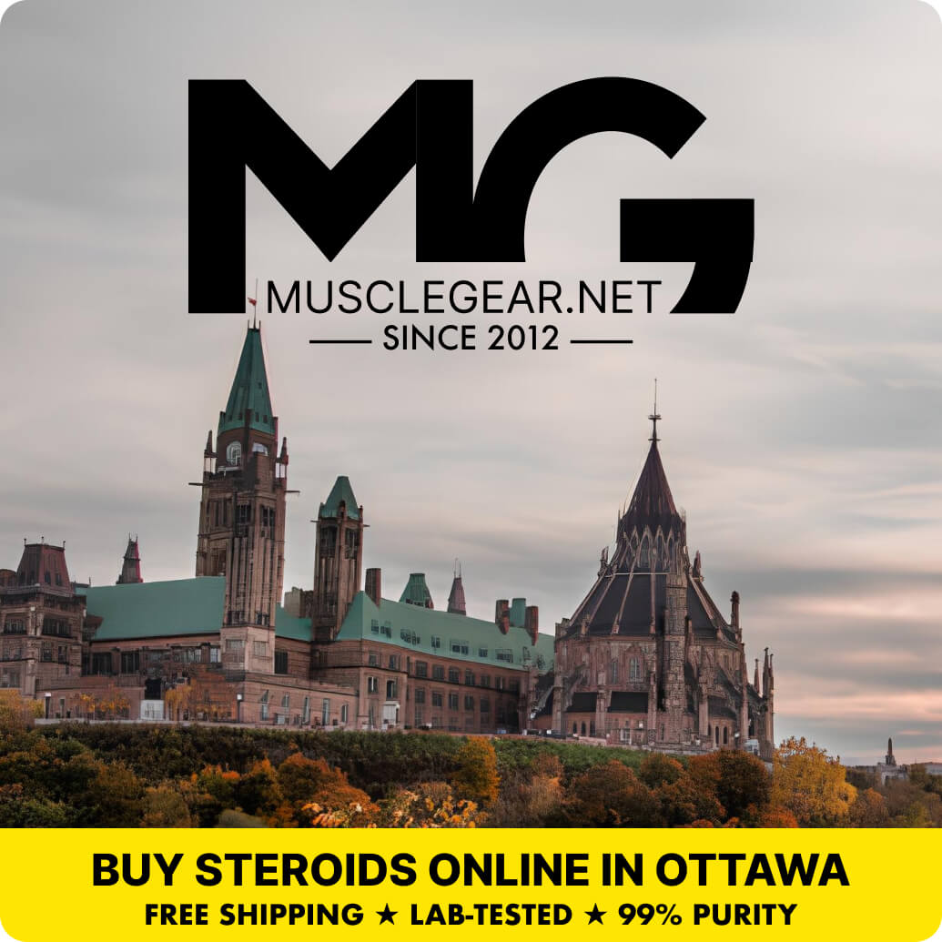 Buy Steroids in Ottawa - Muscle Gear