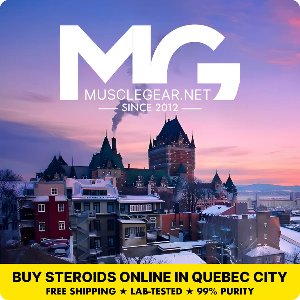 Buy Steroids in Quebec City - Muscle Gear