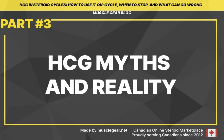 hcg myths and reality