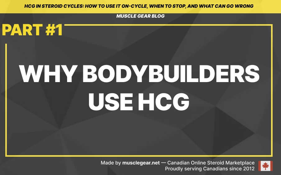 why use hcg