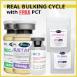 Sustanon and Decabolin Cycle - 8 Weeks - Muscle Mass-838