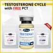 Testosterone Cycle with Free PCT - 8 Weeks - Muscle Mass-835
