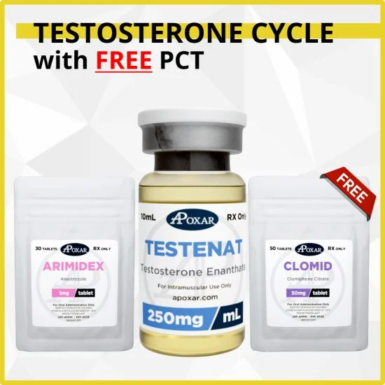 Testosterone Cycle with Free PCT - 8 Weeks - Muscle Mass-835
