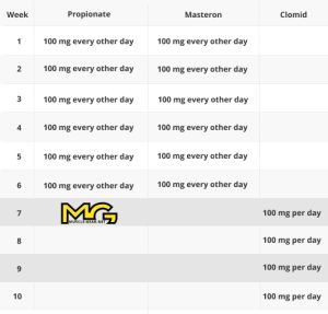 Testosterone Propionate and Masteron Cycle with Free PCT - 6 Weeks - Fat Burning and Lean Look-853