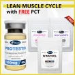 Testosterone Propionate and Winstrol Cycle with Free PCT - 6 Weeks - Lean Muscle Mass-842
