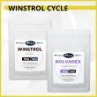 Winstrol (Stanozolol) Oral Only Cycle - 8 Weeks - Lean Mass & Cutting-836