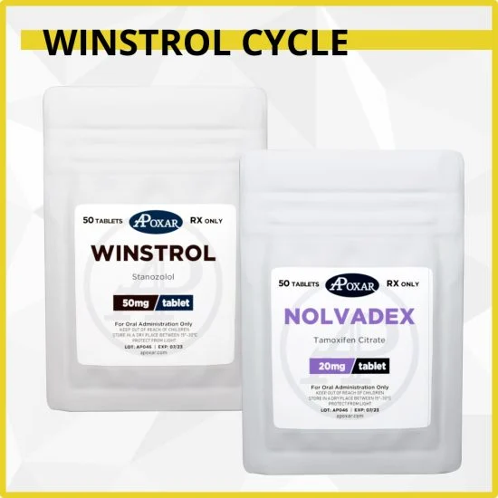 Winstrol (Stanozolol) Oral Only Cycle - 8 Weeks - Lean Mass & Cutting-836 Winstrol (Stanozolol) Oral Only Cycle - 8 Weeks - Lean Mass & Cutting-836