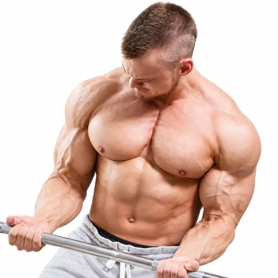 Lean Muscle Steroid Cycle