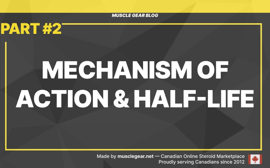 Mechanism of action & half-life