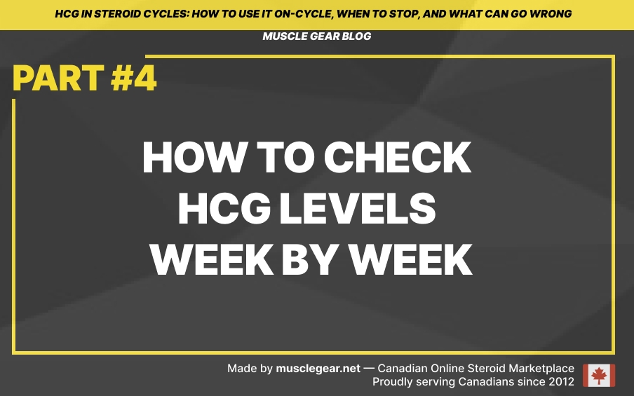 how to check hcg