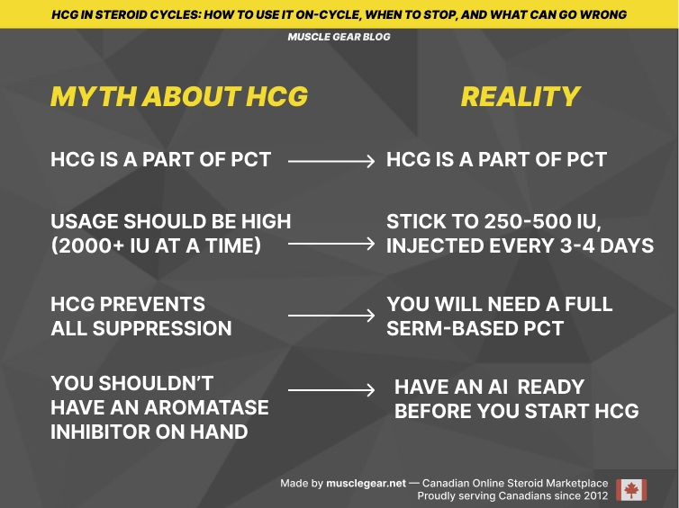 myths and reality